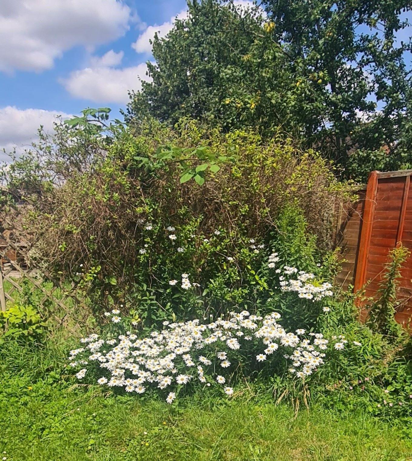 Gorgeous 2 Bedroom Kintbury Cottage ภายนอก รูปภาพ